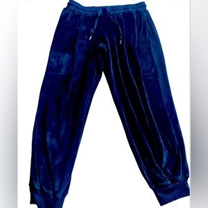 Wild fable velvet joggers